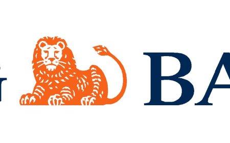 ING Bankası Türkiye'de Başarılı Bir Yolculuk